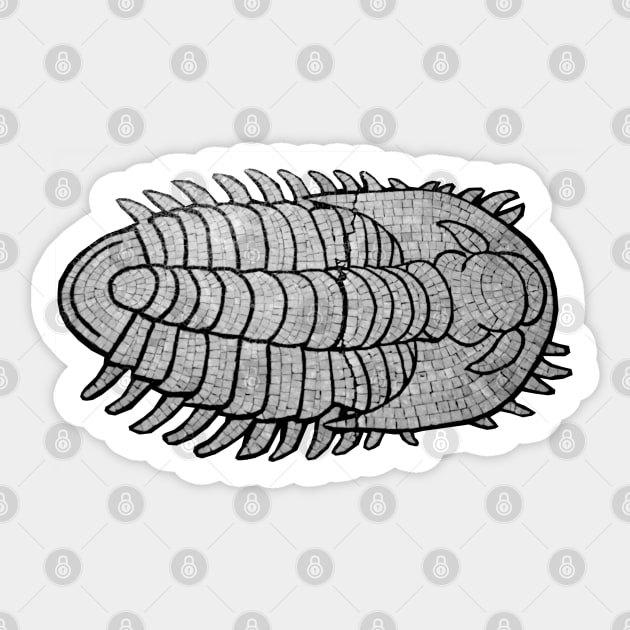 Trilobite Sticker by Art of V. Cook